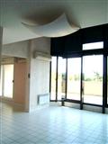 Immobilier - 